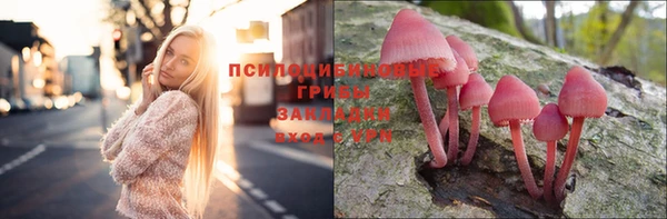 PSILOCYBIN Балабаново