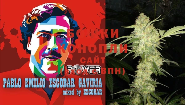 PSILOCYBIN Балабаново