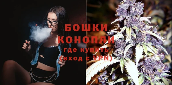 ГАЛЛЮЦИНОГЕННЫЕ ГРИБЫ Белокуриха