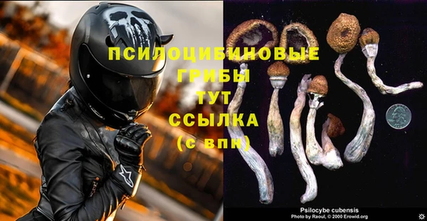 PSILOCYBIN Балабаново