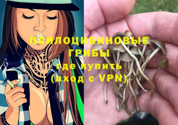 PSILOCYBIN Балабаново
