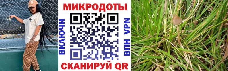 Галлюциногенные грибы Psilocybe Кувандык