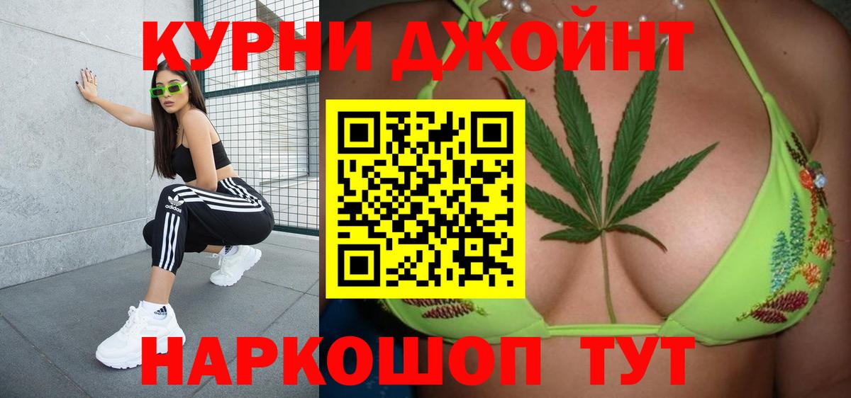 Конопля сатива Кувандык
